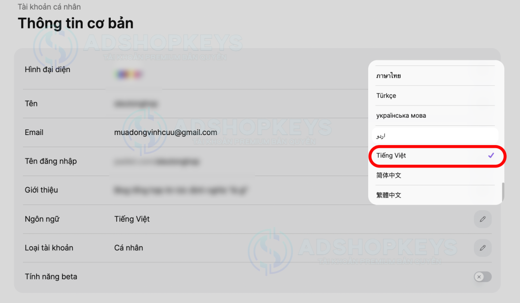 Chọn bánh răng cưa goc sphair trên cùng màn hình và tuỳ chình ngôn ngữ tiếng việt