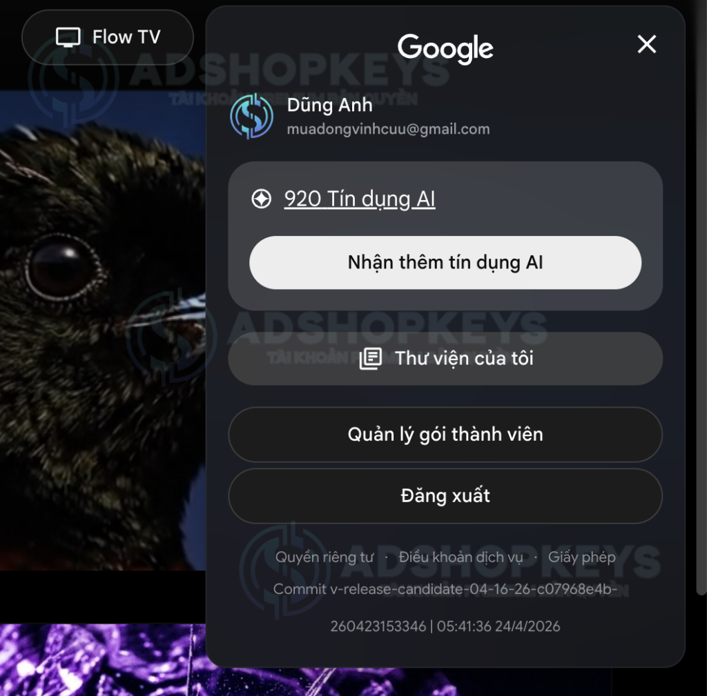 Check thông tin gói ở Avartar góc phải trên cùng 