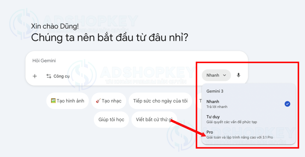Tuỳ chọn mô hình ngôn ngữ của gemini