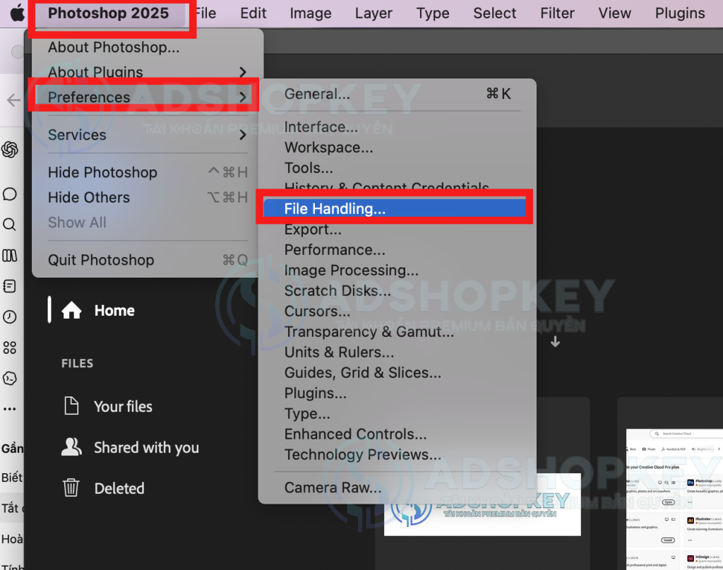 PTS >> Prefences >> File Handling